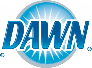 Dawn_logo_2010